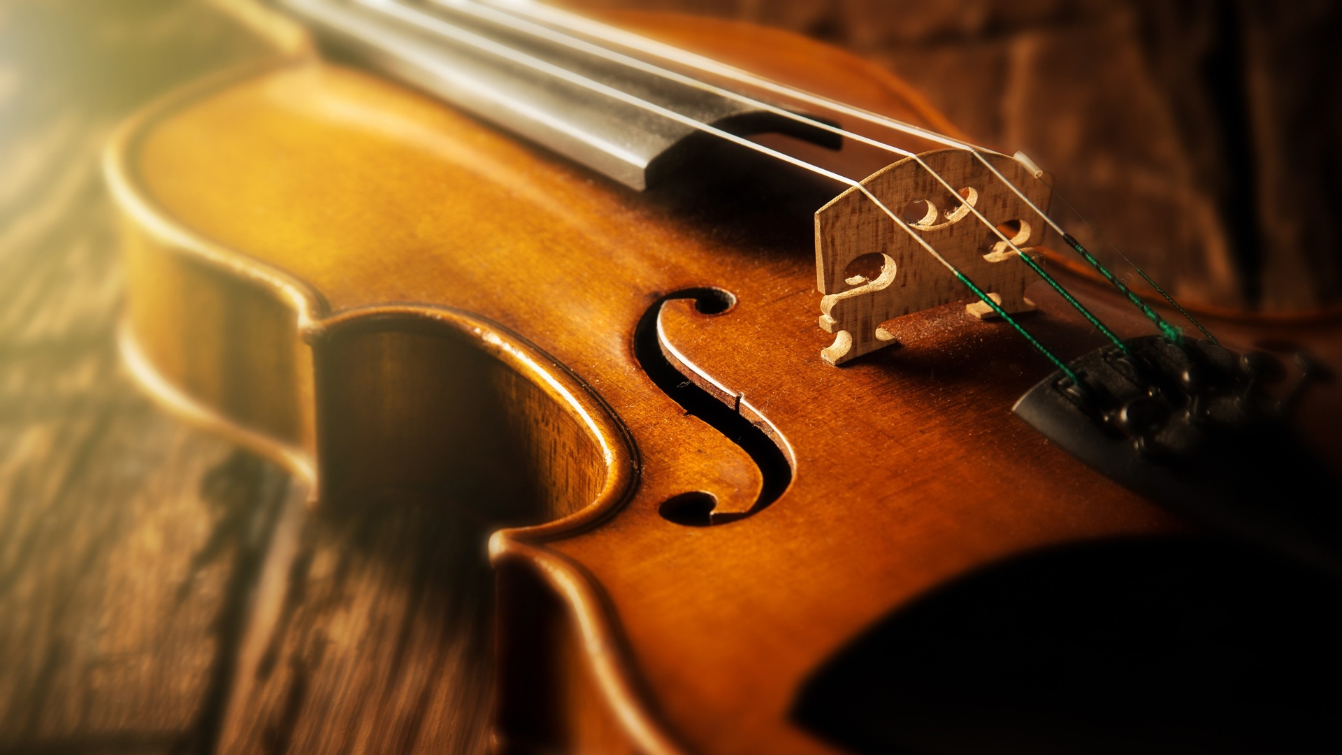 Khóa học Violin giá rẻ