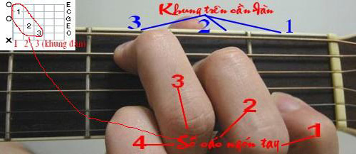 bam-hop-am-do-truong-jpg