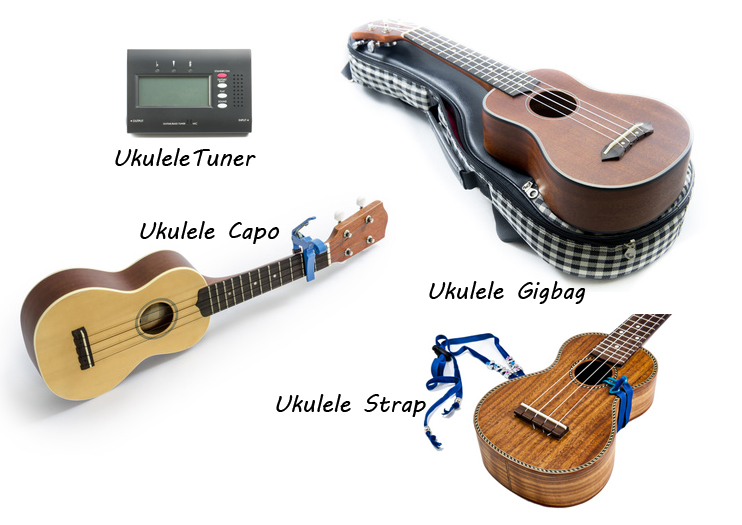 Các phụ kiện mà đàn Ukulele nên cần khi bạn sở hữu đàn.