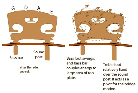 Cách đặt ngựa đàn Violin đơn giản