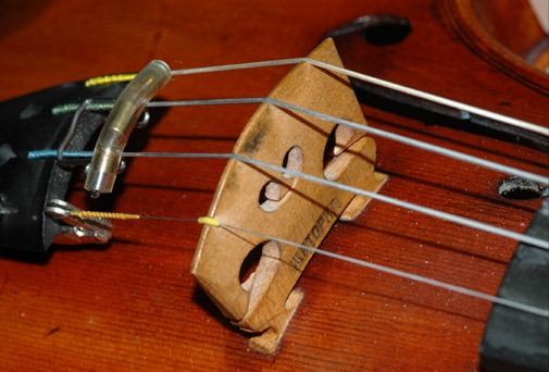 cach-lap-ngua-dan-cho-violin-2