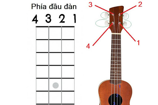 cach-len-day-dan-ukulele cách lên dây đàn ukulele