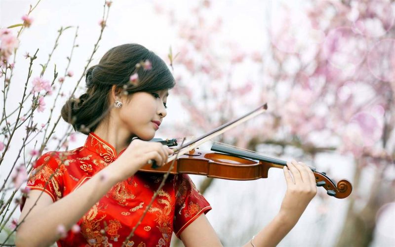 Học đàn Violin có đắt không và bao nhiêu tiền?