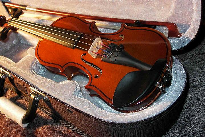 Đàn Violin có mấy dây tất cả