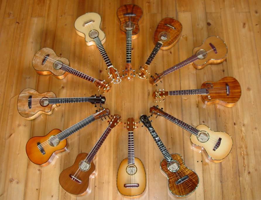 Hướng dẫn bạn những kỹ thuật quạt chả đàn Ukulele.