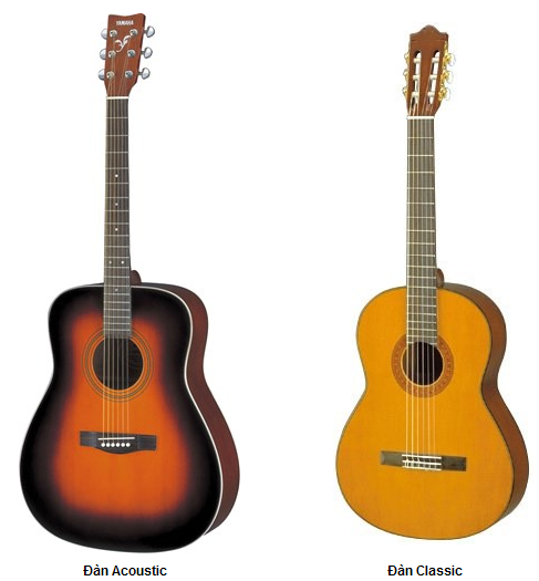 Hướng dẫn Phân biệt các dòng GUITAR ACOUSTIC