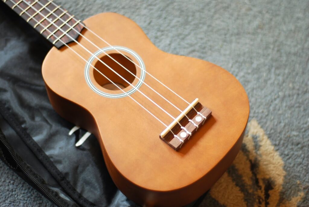 Khóa học đàn Ukulele cấp tốc