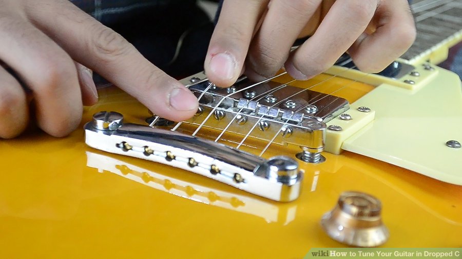 Kiểm tra lưng ngựa đàn Guitar