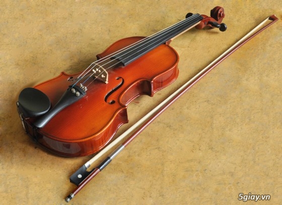 ky-thuat-chuyen-day-khi-choi-dan-violin-1