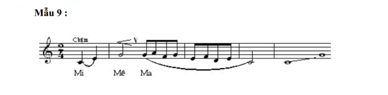 on-tap-3-mau-9-800x197-1 mẫu 9