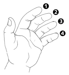 tong-hop-cac-hop-am-ukulele-co-ban-va-cach-danh-2