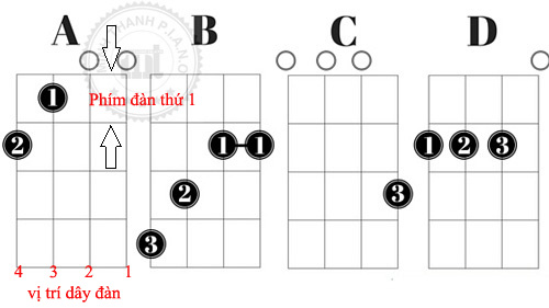 Tổng hợp các HỢP ÂM Ukulele cơ bản và Cách đánh HỢP ÂM Ukulele cơ bản Tổng hợp các HỢP ÂM Ukulele cơ bản và Cách đánh HỢP ÂM Ukulele cơ bản