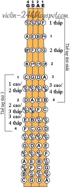 vi-tri-an-ngon-tay-dan-violin-2